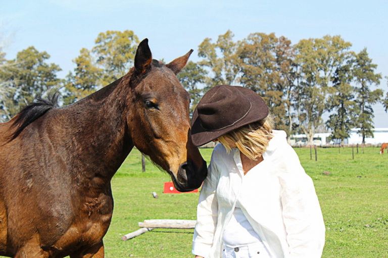 Cambiar el diván por los caballos