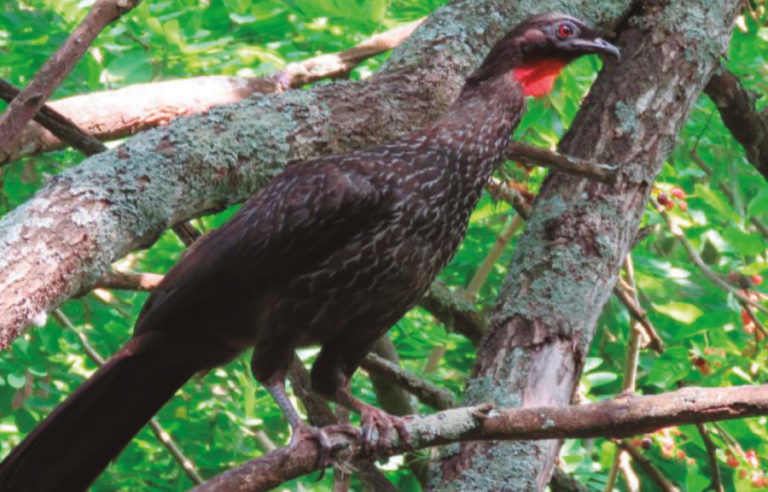 El Yacht, orgulloso de su reserva natural