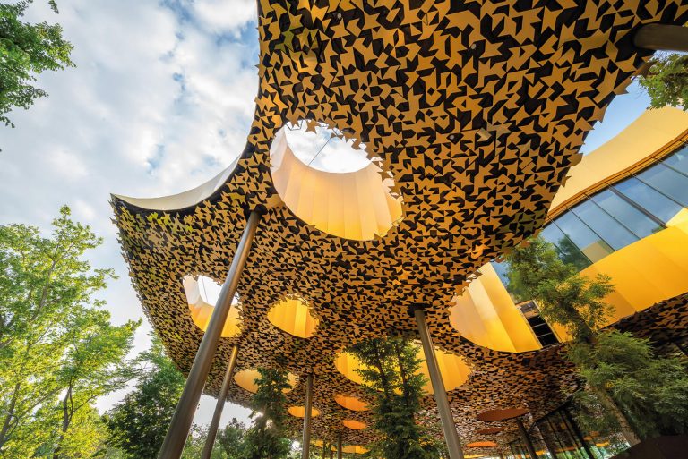 Liszt y Bartók, con acento japonés