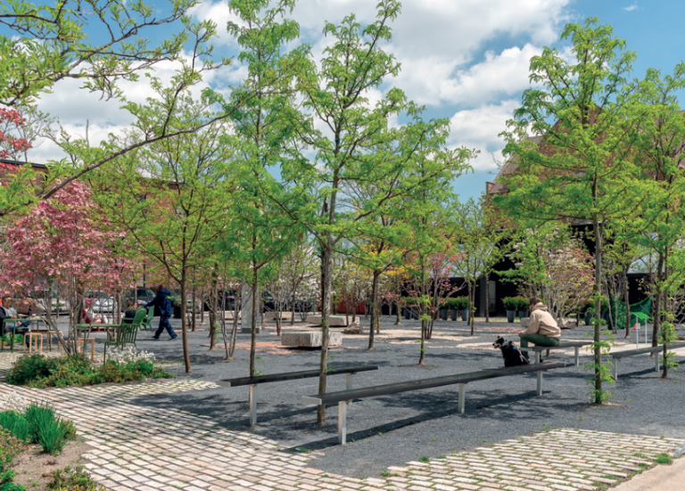 Julie Bargmann, la activista del paisajismo