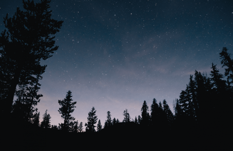 Para ponerle nombre a las estrellas 