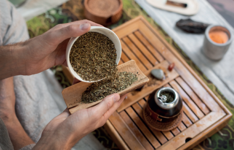 Las cualidades de la yerba mate