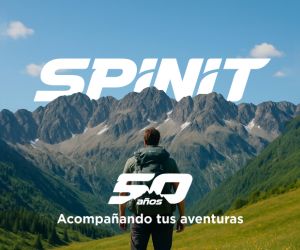 spot_img