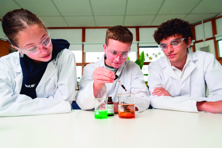 Más que estudiar, experimentar